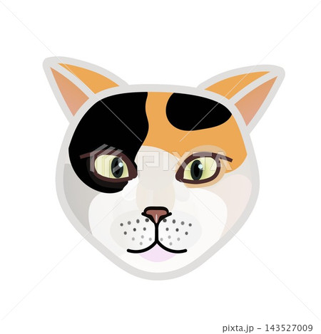 猫の顔イラスト 猫の顔イラスト 143527009