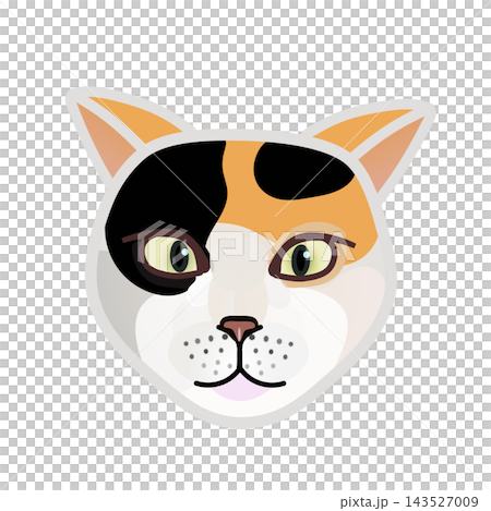 猫の顔イラスト 猫の顔イラスト 143527009