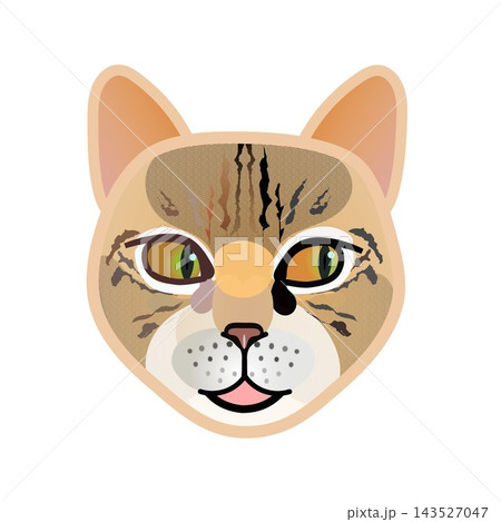 猫の顔イラスト 143527047