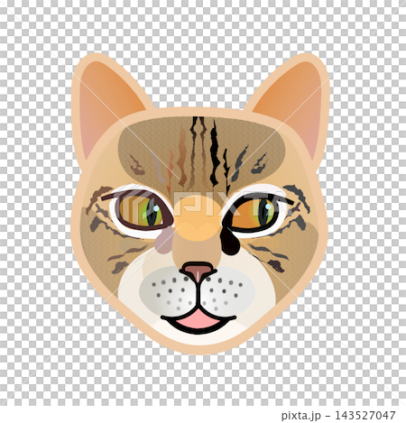 猫の顔イラスト 143527047