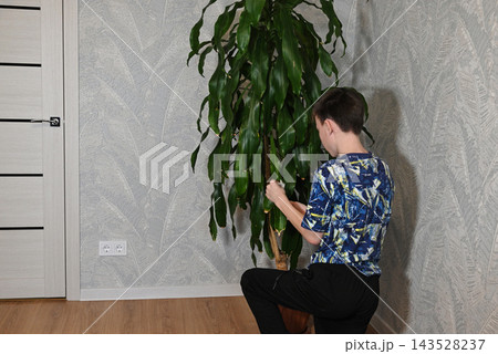 Kids care for plants at home during the afternoon Kids care for plants at home during the afternoon 143528237