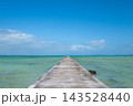 伊古桟橋 143528440