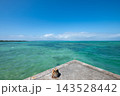 伊古桟橋 143528442