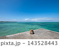 伊古桟橋 143528443