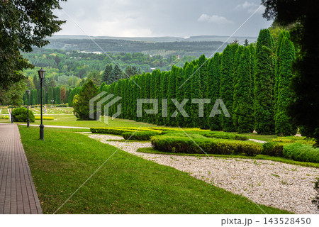 Thuja Alley and Rose Valley in Kislovodsk park. Russia Thuja Alley and Rose Valley in Kislovodsk park. Russia 143528450