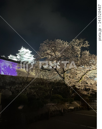 夜間ライトアップされた姫路城と満開の夜桜 143528487