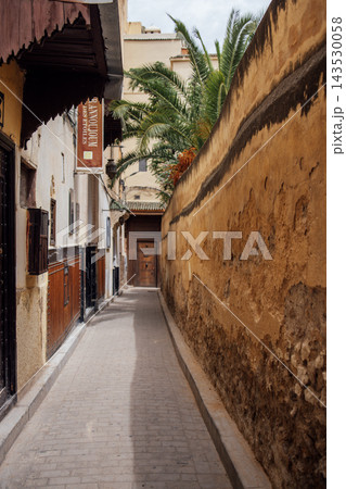 Narrow cobblestone alleyway lined with textured walls and lush palm trees, leading to a wooden door, creating a serene atmosphere in an urban setting with historical charm 143530058
