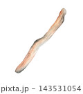 Watercolor wooden stick. Signpost. Kindling for a campfire. Hand-painted signpost base. Dry natural tree branch. Isolated play stick. Eco-friendly forest element. Snowman arm. For design. 143531054