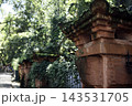 Stone wall with ornate architectural details covered in green foliage along a pathway in a lush garden setting surrounded by trees and sunlight filtering through leaves 143531705