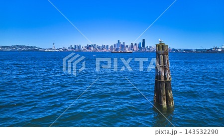 Seattle Skyline Waterfront Seagull and Blue Water from Alki Beach Perspective Seattle Skyline Waterfront Seagull and Blue Water from Alki Beach Perspective 143532290