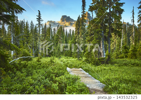Skyline Trail Pathway Through Lush Forest Toward Mountain Peaks in Morning Fog 143532325