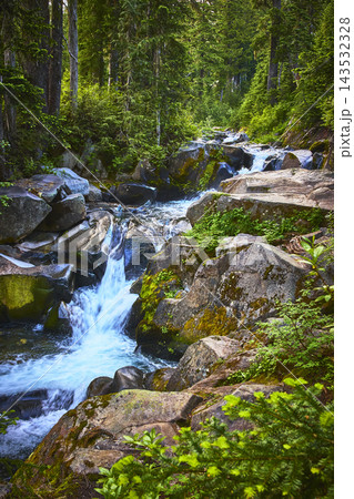 Waterfall Flowing Over Mossy Rocks in Lush Forest Landscape Waterfall Flowing Over Mossy Rocks in Lush Forest Landscape 143532328