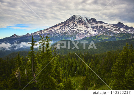 Mount Rainier Snow Capped Summit with Evergreen Forest and Dramatic Sky in Washington Mount Rainier Snow Capped Summit with Evergreen Forest and Dramatic Sky in Washington 143533237