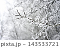 Frost covered winter branches in forest 143533721