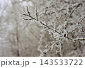 Icy branches in winter forest 143533722