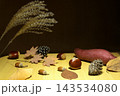 ススキ　枯れ葉　クリ　さつま芋　松かさ　秋イメージ 143534080