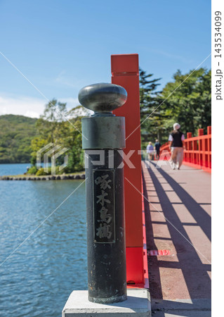 新しくなった赤城神社の啄木鳥橋 新しくなった赤城神社の啄木鳥橋 143534099