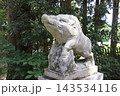 霧島市の和気神社の狛イノシシ 143534116