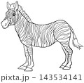 funny cartoon zebra wild animal character coloring page 143534141