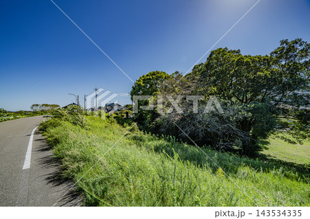 木曽川左岸堤防道路と河田城跡の森 143534335