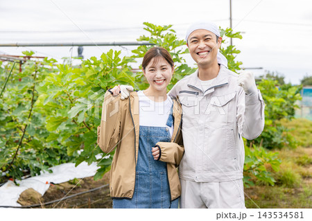 野菜を収穫する農家の男女 143534581