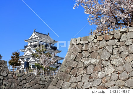 【広島県】桜咲く春の福山城（復興後）福山城桜まつり 143534987