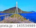 【広島県】桜咲く春の多々羅展望台から見た（多々羅大橋） 143534989