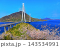 【広島県】桜咲く春の多々羅展望台から見た（多々羅大橋） 143534991
