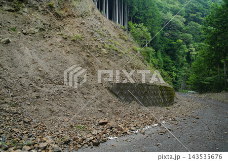静岡県_静岡市葵区_林道・竹ノ沢線 静岡県_静岡市葵区_林道・竹ノ沢線 143535676
