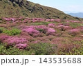 阿蘇　皿山のミヤマキリシマ 143535688
