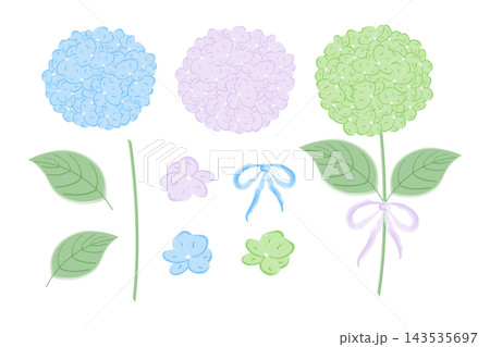 Watercolor Pastel blue lilac and green hydrangea floral Set with leaves stems florets and ribbon bow. Isolated Hand drawn Vector elements Party invites, floral cards or botanical arrangements, labels 143535697