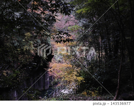 高千穂峡の美しい紅葉 143536977