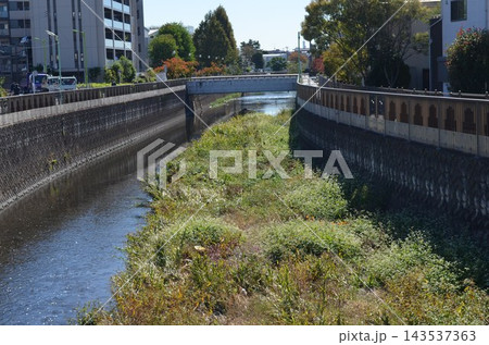 川のある風景 川のある風景 143537363