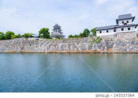 愛媛県今治城 愛媛県今治城 143537364