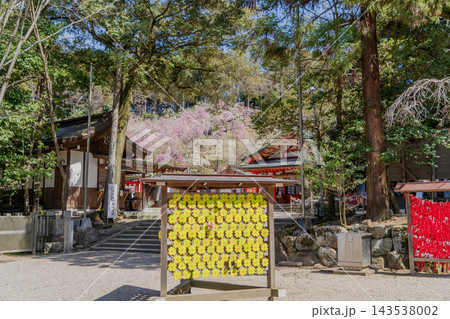 春の姫の宮神社境内の景色 143538002