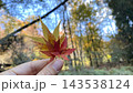 登山の途中で見つけた紅葉 登山の途中で見つけた紅葉 143538124