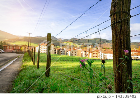 Weathered wooden fence posts with barbed wire and mesh beside a green grazing pasture, pink wildflowers along the roadside boundary and residential buildings in a valley below wooded hills. 143538402