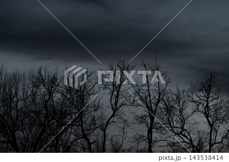 Dead tree silhouettes and bare branches against a dark dramatic cloudy sky, haunting monochrome landscape for Halloween themes, stormy weather, loneliness, fear and mysterious atmosphere. Dead tree silhouettes and bare branches against a dark dramatic cloudy sky, haunting monochrome landscape for Halloween themes, stormy weather, loneliness, fear and mysterious atmosphere. 143538414