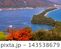 秋風や飛龍の松に吹きぬくる 143538679