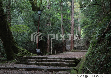 苔むした石段 苔むした石段 143538808