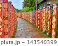 嵐山の風景 143540399