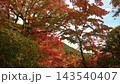 紅葉のある風景 143540407