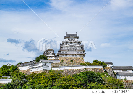 新緑の木々に囲まれた姫路城 新緑の木々に囲まれた姫路城 143540424