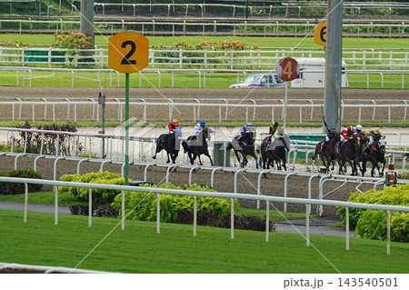 Horse Racing Action on the Track Race Day Excitement Horse Racing Action on the Track Race Day Excitement 143540501