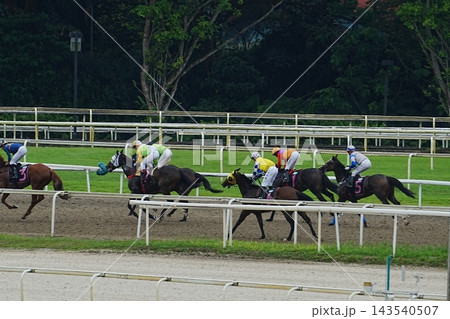 Horse Racing at the Racetrack Sports and Competition 143540507