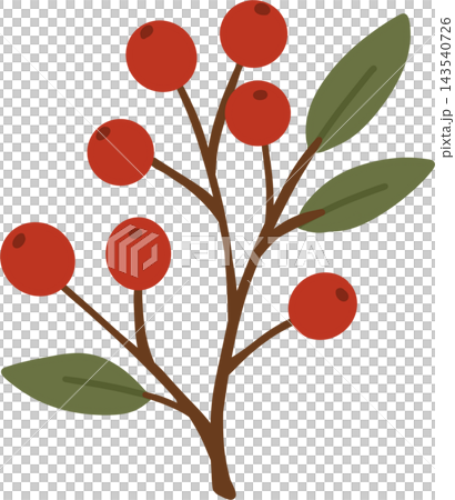 Red Berry Branch with Green Leaves Autumn Botanical Clipart Red Berry Branch with Green Leaves Autumn Botanical Clipart 143540726