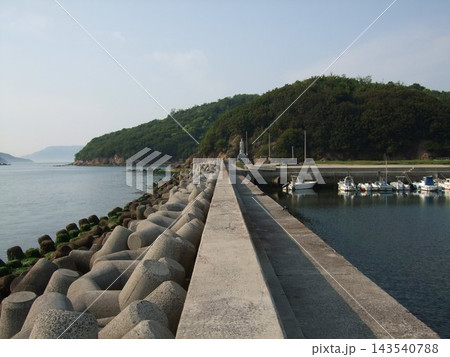 香川県庵治町の王の下沖防波堤と瀬戸内海 143540788