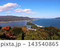 潮風の秋を運ぶや松の並木 143540865
