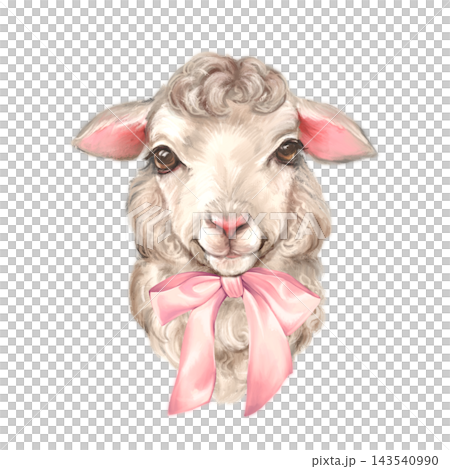 Hand-drawn illustration of a cute fluffy baby sheep with a pink ribbon bow. Sweet animal element isolated on a white background for nursery room decor and greeting cards. Hand-drawn illustration of a cute fluffy baby sheep with a pink ribbon bow. Sweet animal element isolated on a white background for nursery room decor and greeting cards. 143540990
