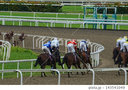 Horse Racing at the Track Race Day Excitement 143541049